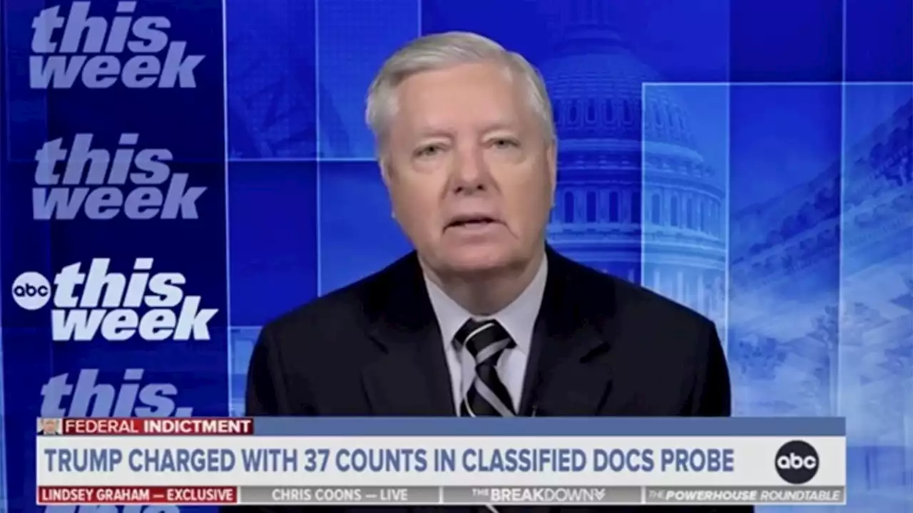 Sen. Lindsey Graham clashes with ABC host over Trump indictment: 'Let me finish!'