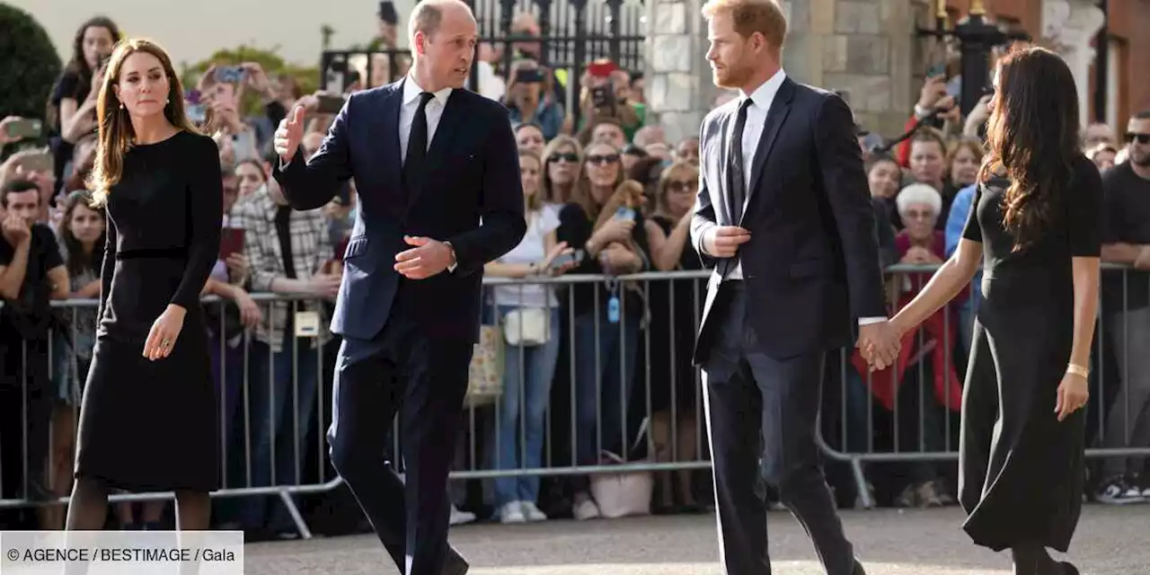 Le prince Harry exige des excuses : la réponse de Kate Middleton et William - Gala