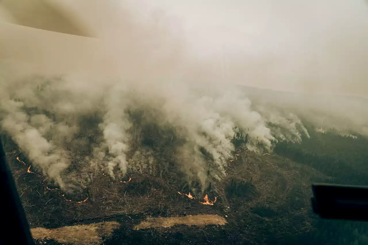 Quebec now taking the offensive against forest fires, natural resources minister says