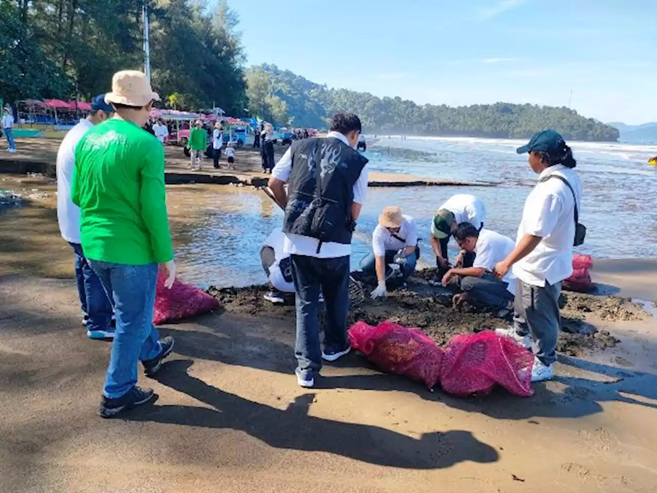 Ratusan Relawan PLN Gelar Bersih Pantai, Pantai Air Manis Semakin Biru Berkilau