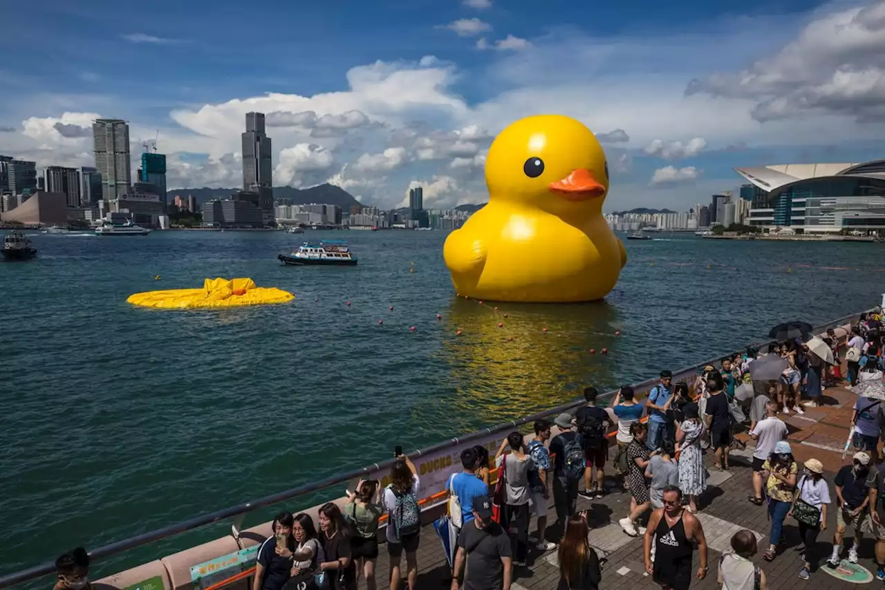 Pato inflável gigante que representa sorte é esvaziado em Hong Kong pelo calor extremo