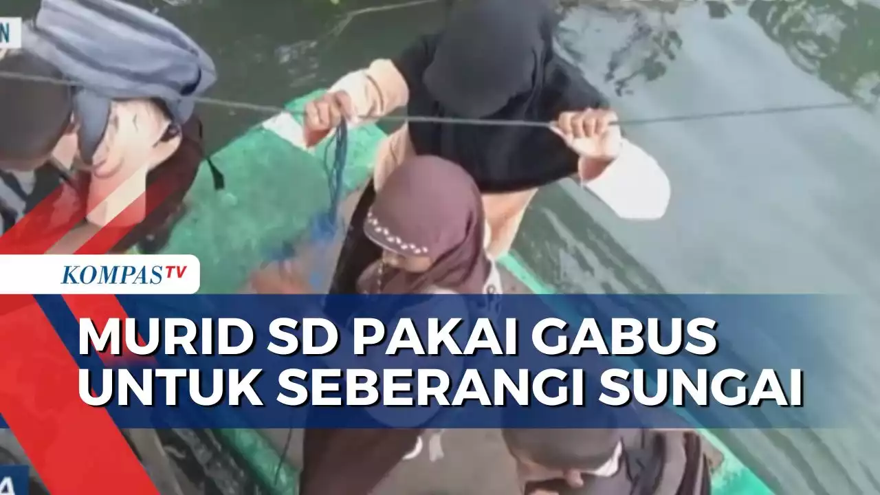 Kisah Andita, Murid SD di Luwu Nekat Seberangi Sungai dengan Gabus Demi ke Sekolah