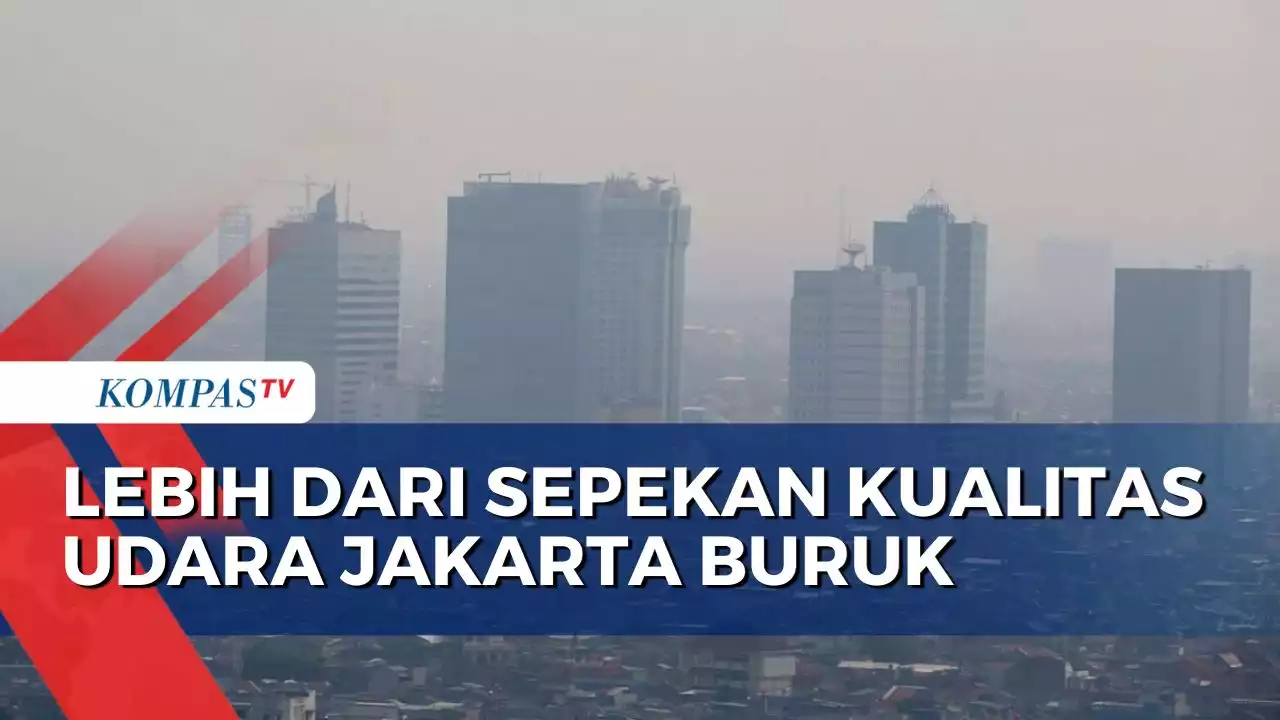 Polusi Udara Jakarta Buruk, PJ Gubernur DKI: Tambah Ruang Hijau