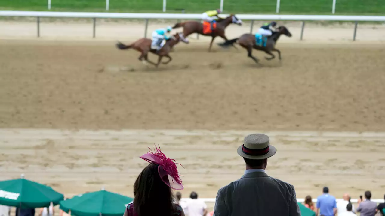 Horse euthanized after 13th at Belmont, 1 race after final leg of Triple Crown