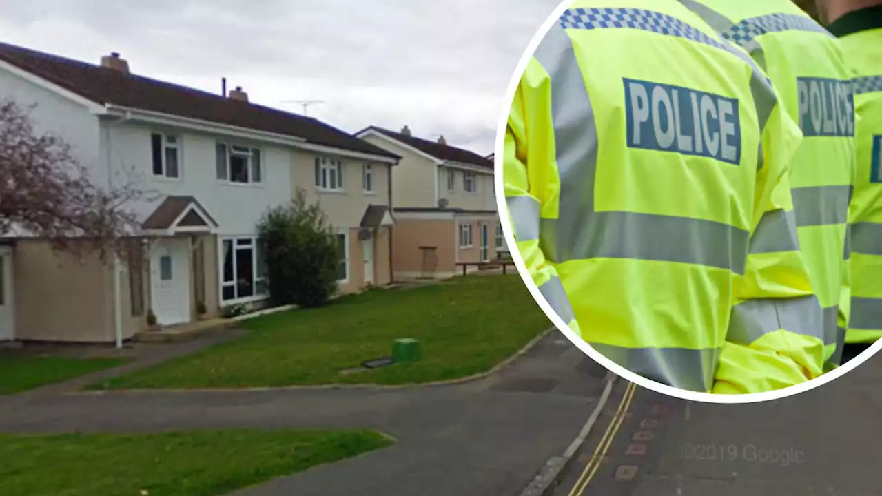 Eight teens arrested on bus in police murder probe after boy, 16, stabbed to death in Somerset