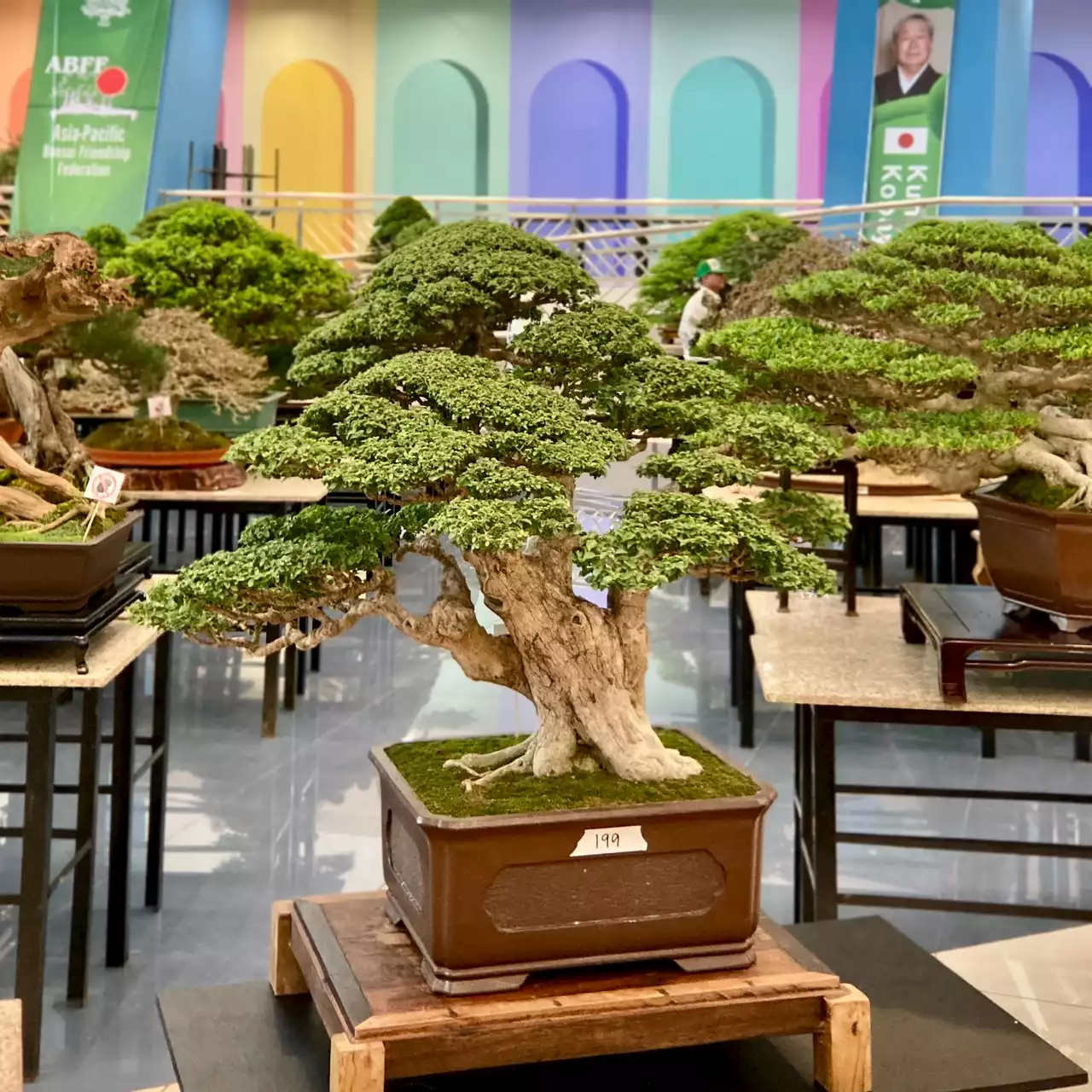 Art, culture, and nature converge: Asia's grandest bonsai exhibition unveiled at SM Mall of Asia