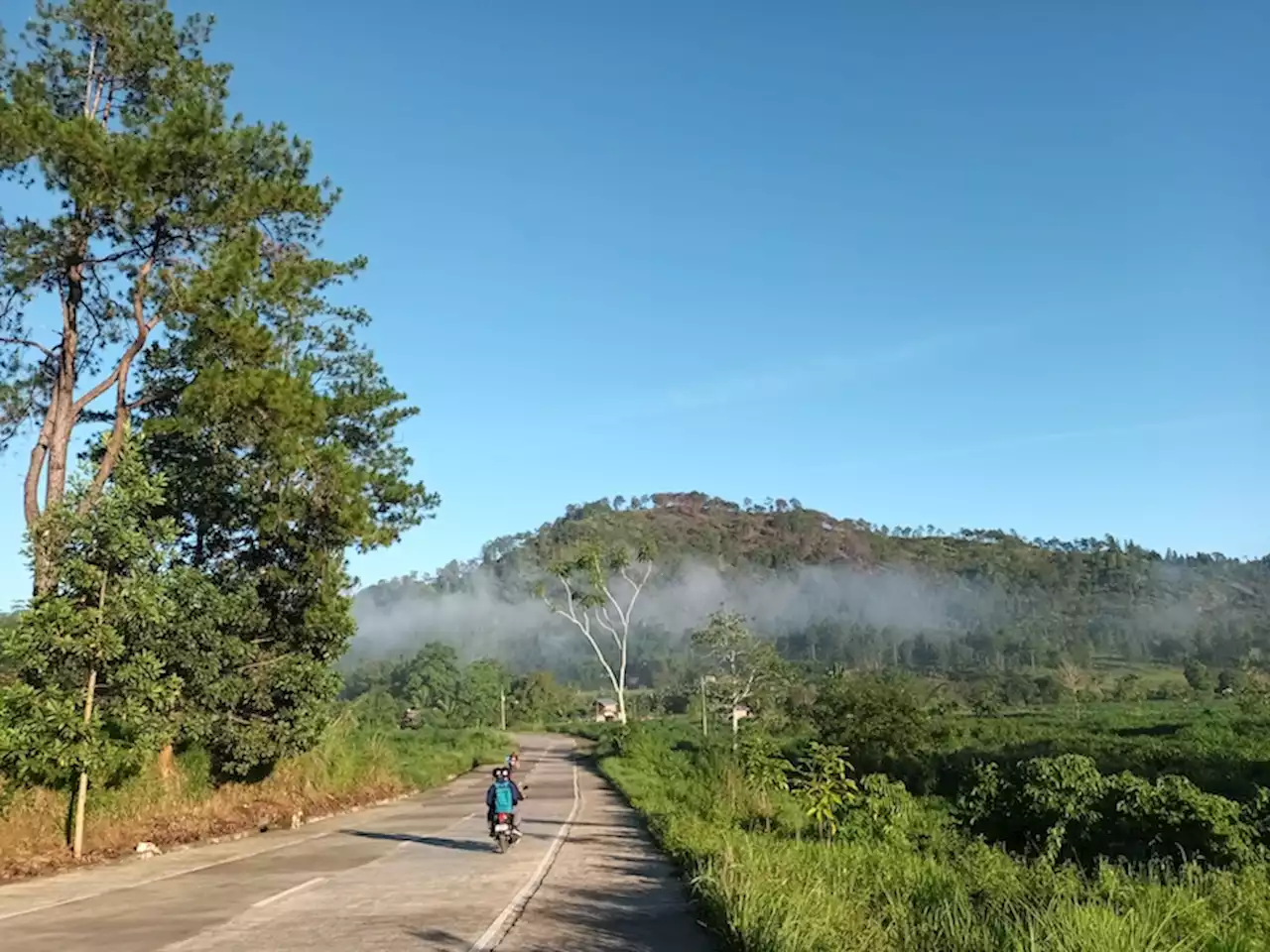 Bukidnon morning