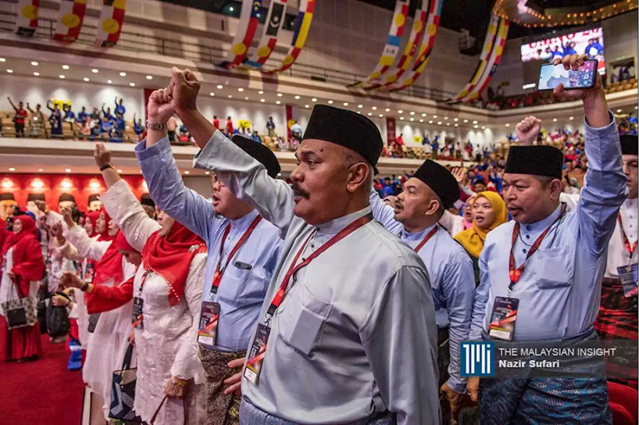 Umno delegates no longer see DAP as bogeyman | The Malaysian Insight