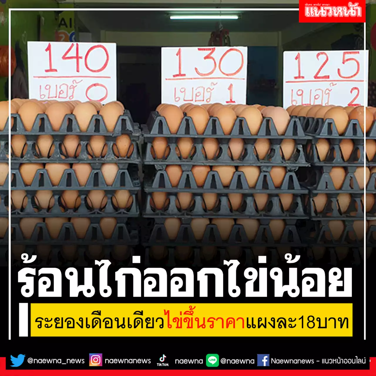 อากาศร้อน..แม่ไก่ออกไข่น้อย! ระยอง'ไข่แพง' เดือนเดียวขึ้นแผงละ18บาท