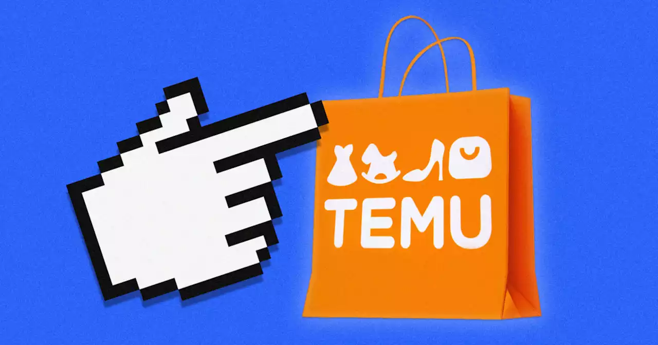 Shoppers are flocking to Temu for cheap deals — but will the novelty last?