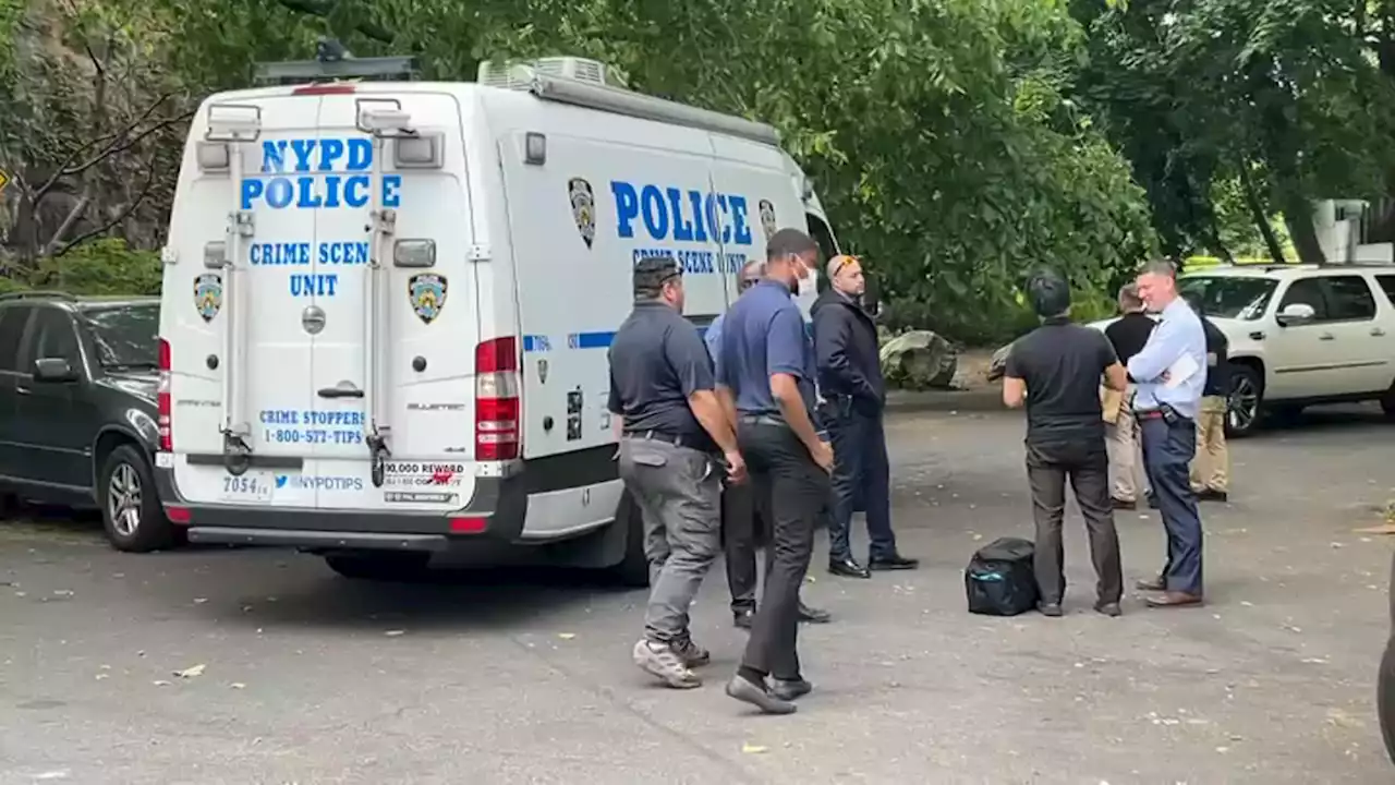 Woman's body found stuffed in plastic bin near NYC community garden