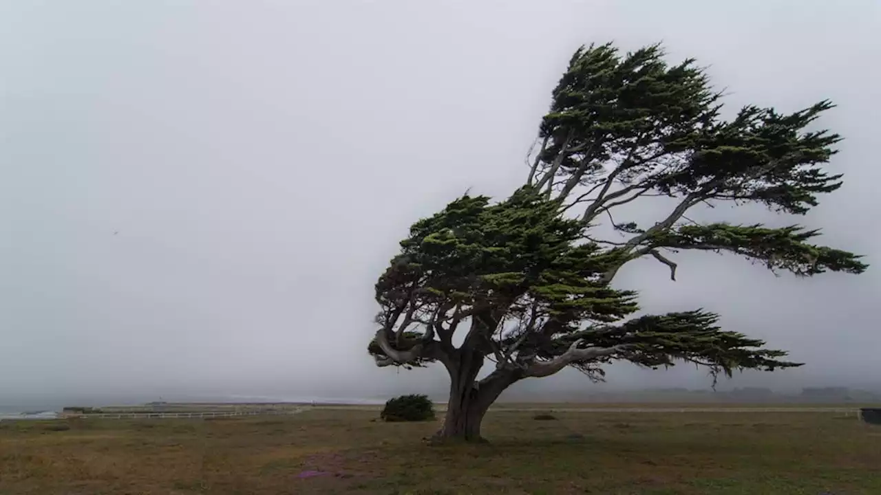 Damaging coastal winds and waves expected in parts of Western Cape, weather service warns | News24