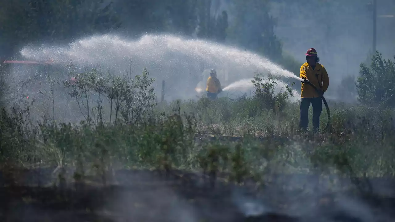 Casi 100 bomberos forestales españoles volarán a Canadá para ayudar a combatir la ola de incendios