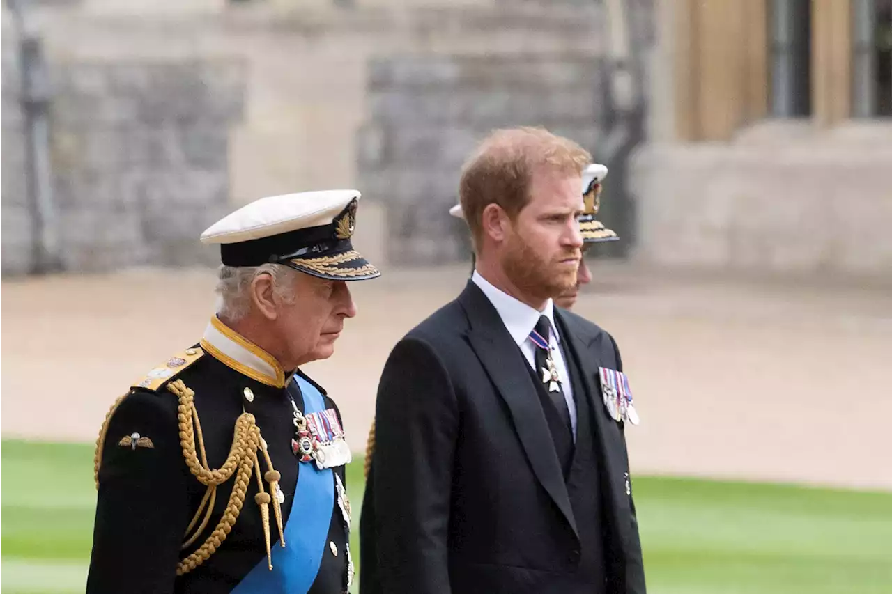 King Charles is ‘sad, bewildered’ and frustrated by Prince Harry’s actions: palace insider