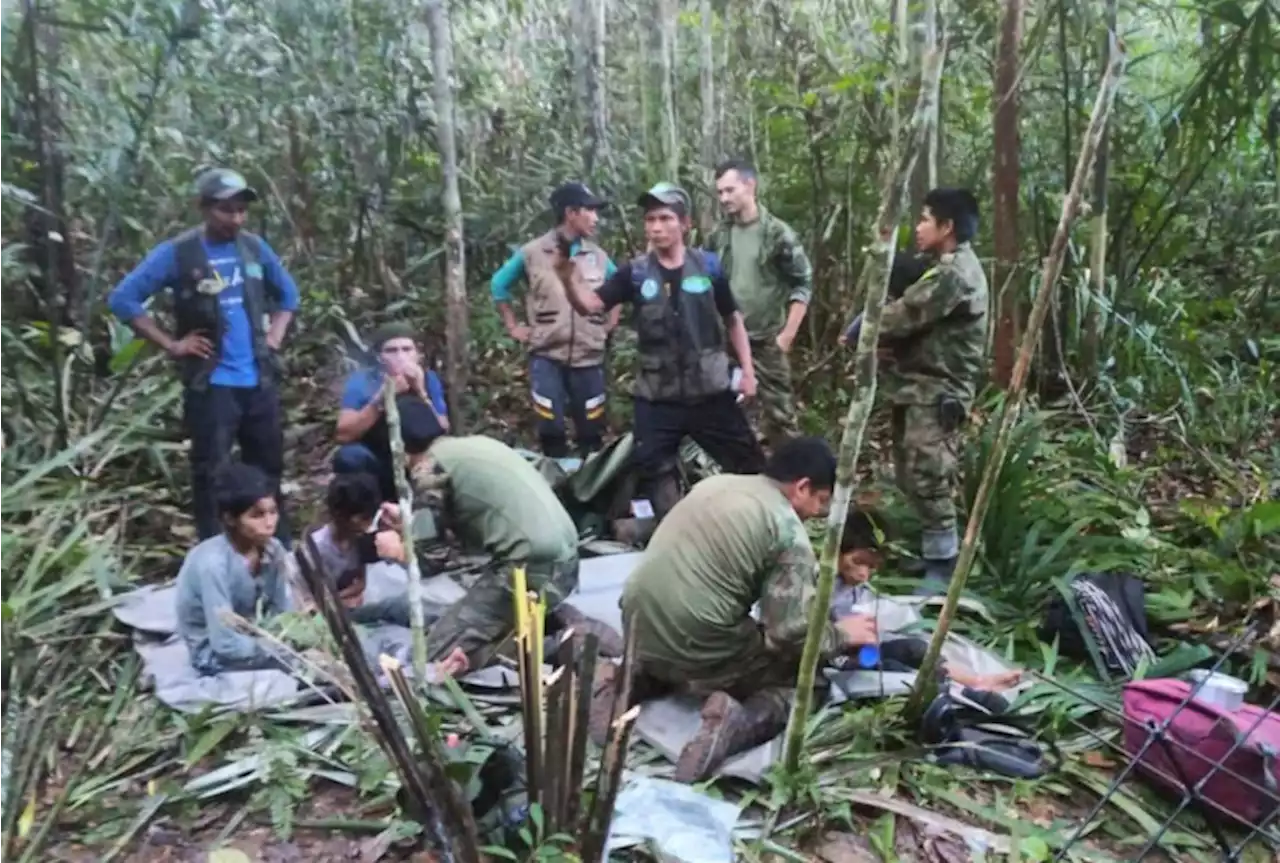 Menina de 13 anos protegeu irmãos perdidos na selva por 40 dias