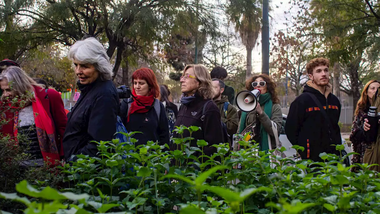 Caminata en defensa de 'una Chacarita verde' | Más vecinos se oponen al Código Urbanístico aprobado en 2018