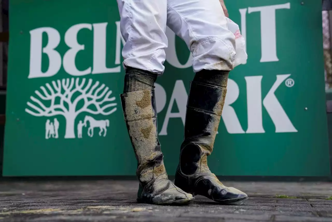 Horse euthanized after 13th at Belmont, 1 race after final leg of Triple Crown