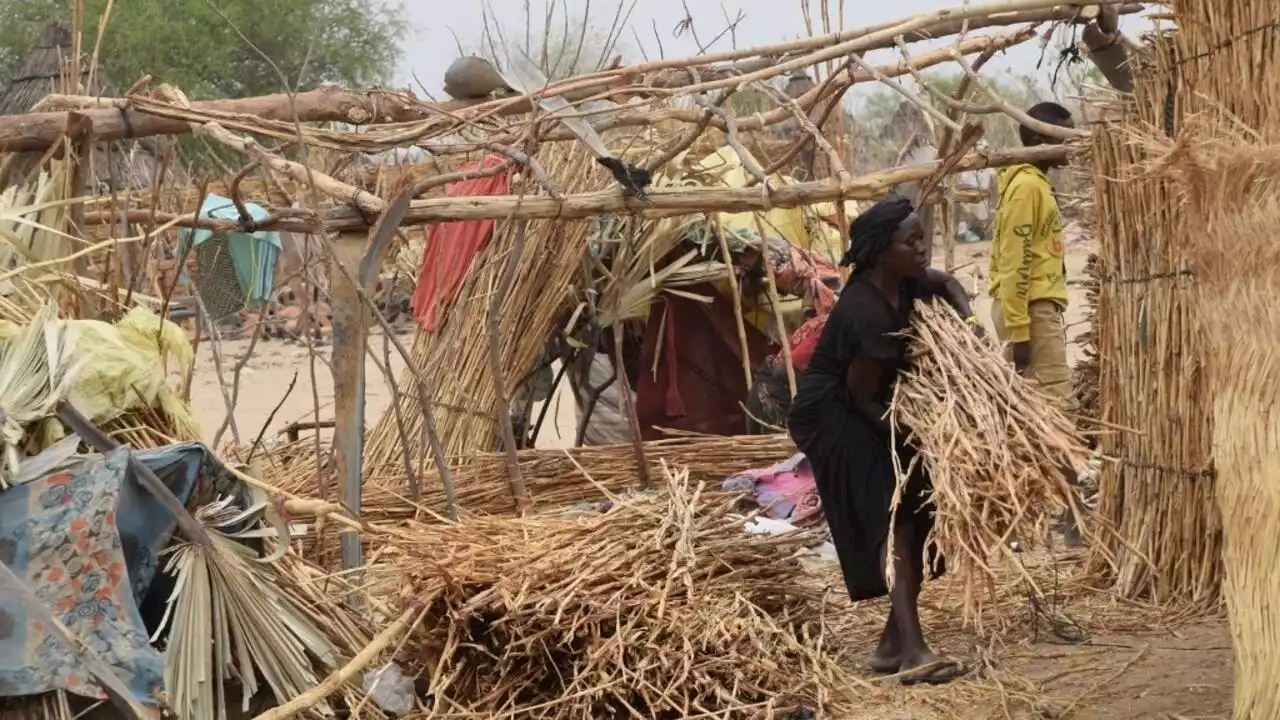 Tchad: polémique autour de l’arrivée massive de réfugiés du Soudan