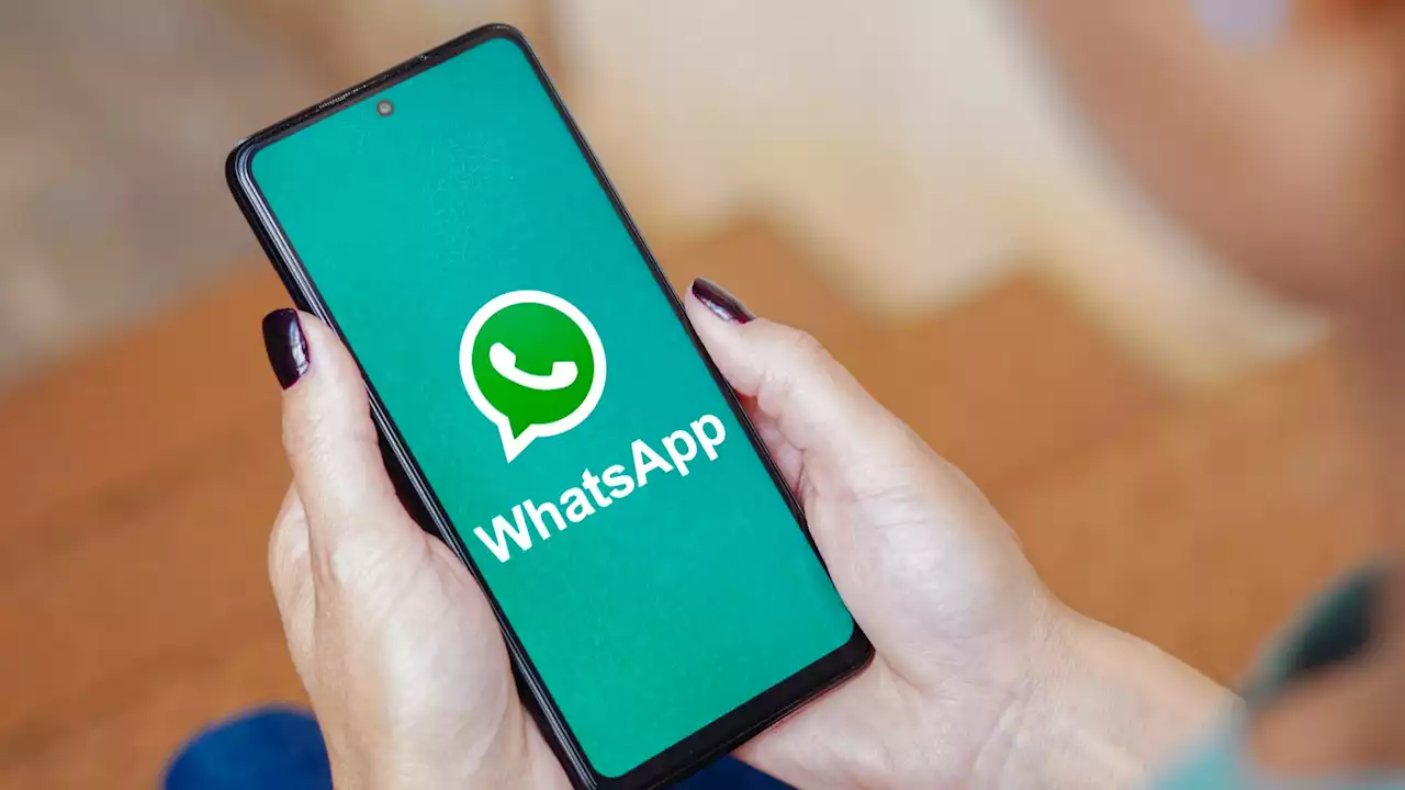 Espionaje a través de WhatsApp: 'Es una modalidad de maltrato y es el inicio de un delito de acoso'