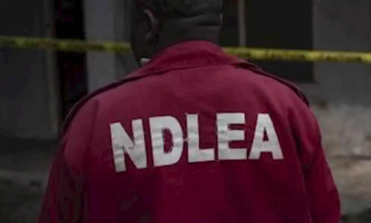 Anti-Narcotics Agency, NDLEA Busts Secret Laboratory Producing Illicit Substance, Hard Drugs In Lagos | Sahara Reporters