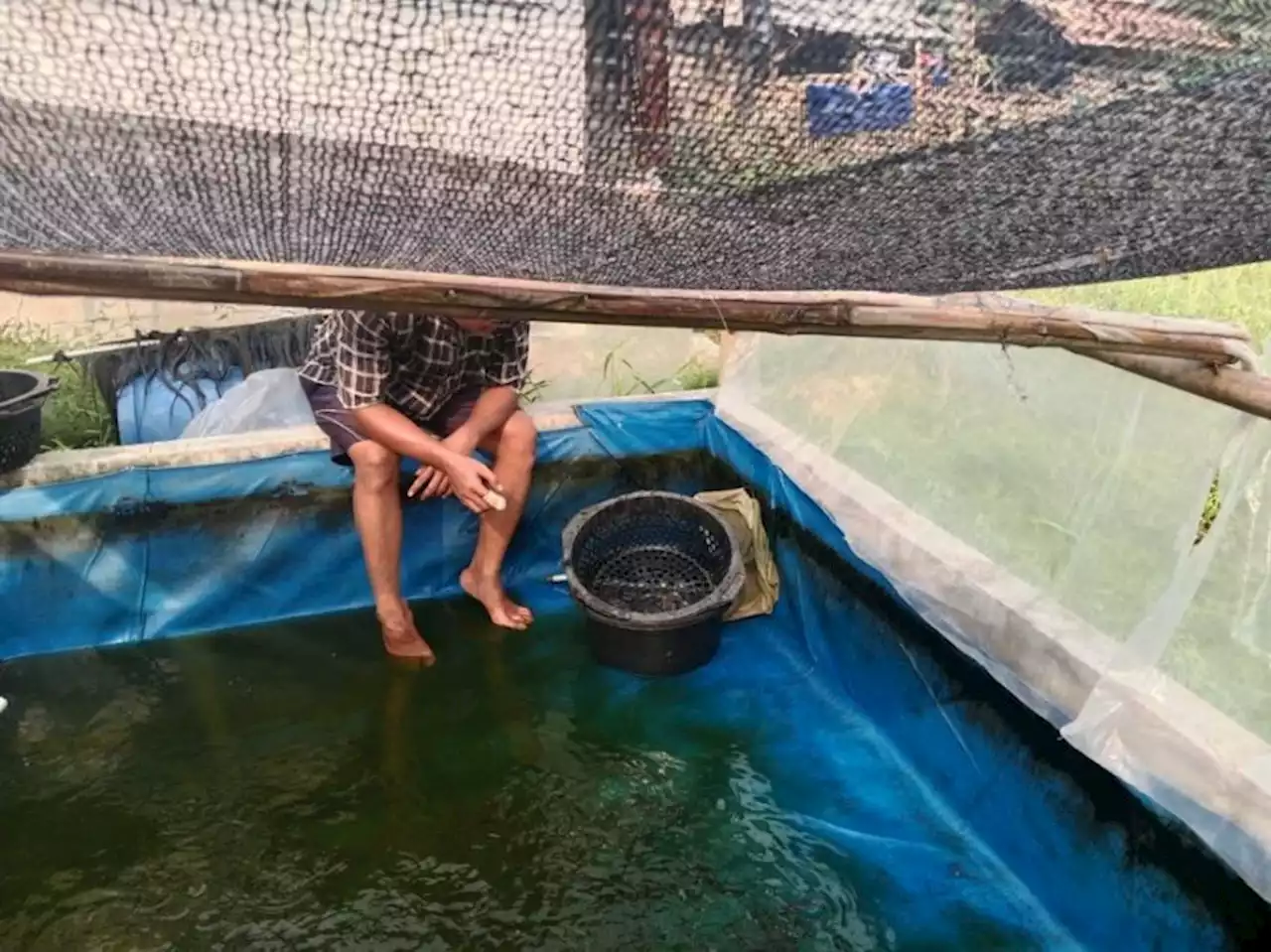 Buka Lapangan Kerja, GMC Banten Pelatihan Daya Ikan Lele