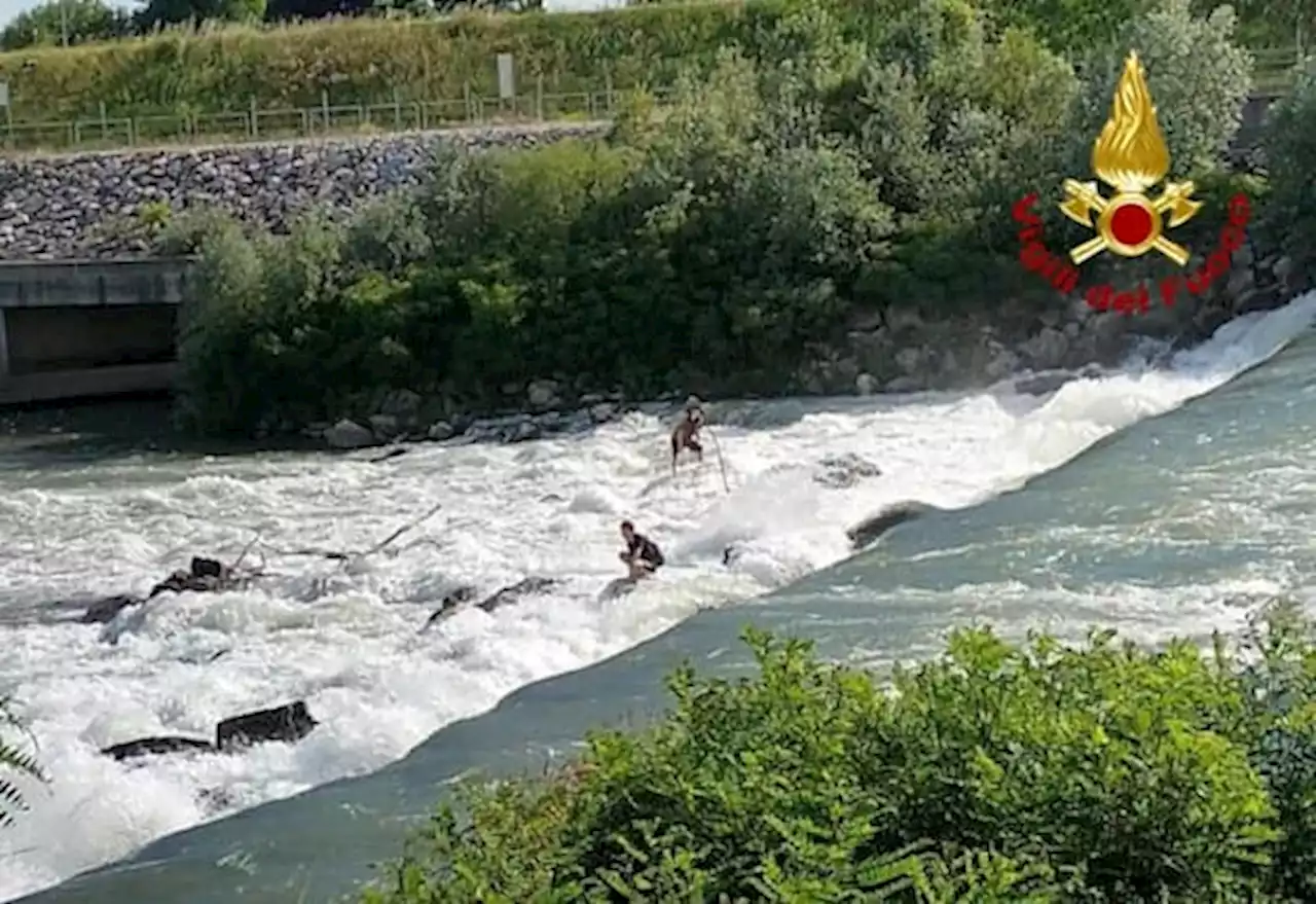 Brenta, sorpresi dall'apertura chiuse del fiume: salvati tre 16enni