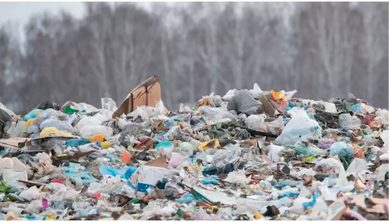 Arti Mimpi Sampah Tak Selalu Pertanda Buruk Kok!