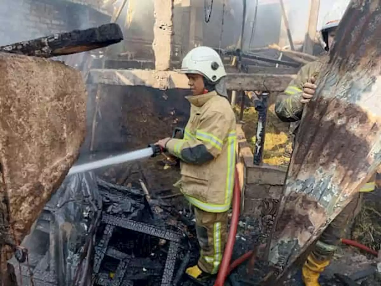 Kandang Ternak di Jomboran Klaten Terbakar, 3 Sapi Sempat Terjebak Api