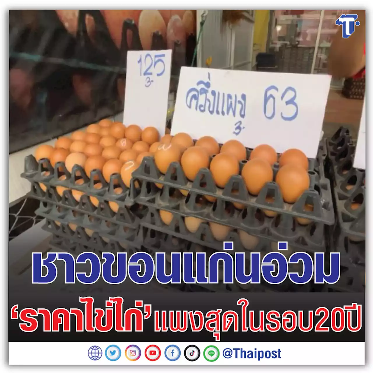 ชาวขอนแก่นอ่วม 'ราคาไข่ไก่' แพงสุดในรอบ 20 ปี
