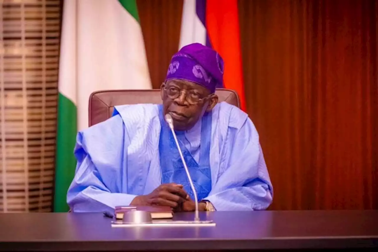 Democracy day: NGO urges Tinubu to avoid divisiveness, nepotism in leadership | TheCable