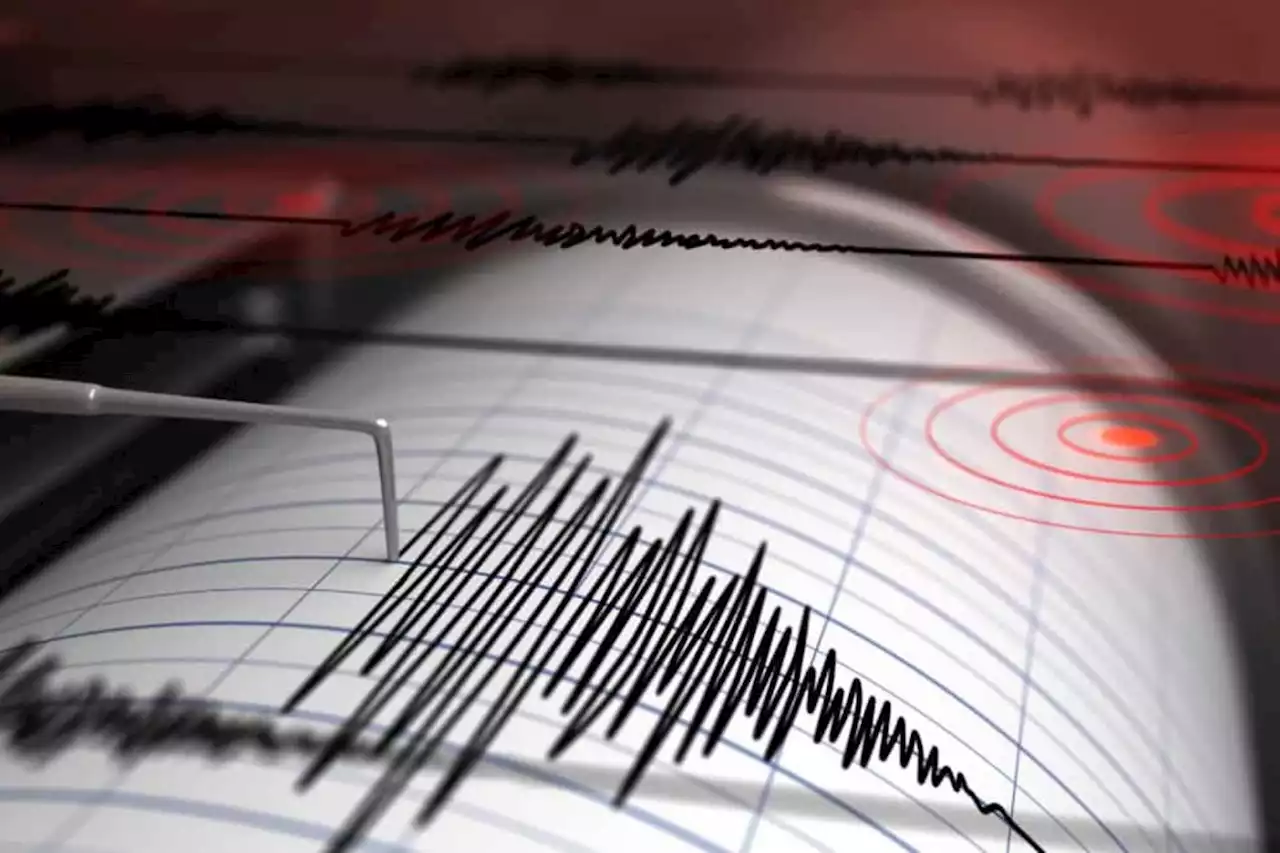 JUST IN: Powerful tremor hits large parts of Gauteng | The Citizen