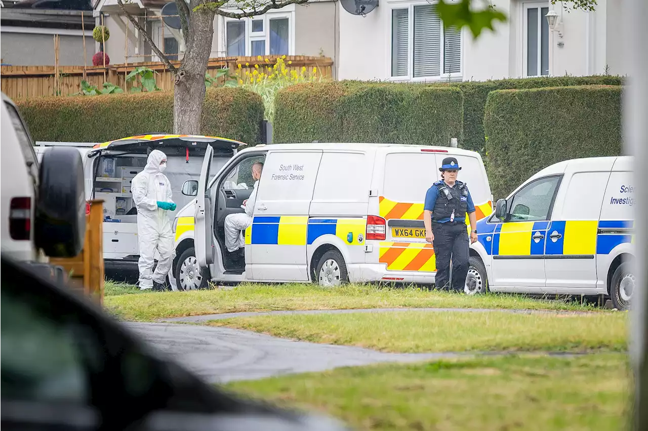 Eleven teens arrested for murder after boy, 16, stabbed to death at 'party'