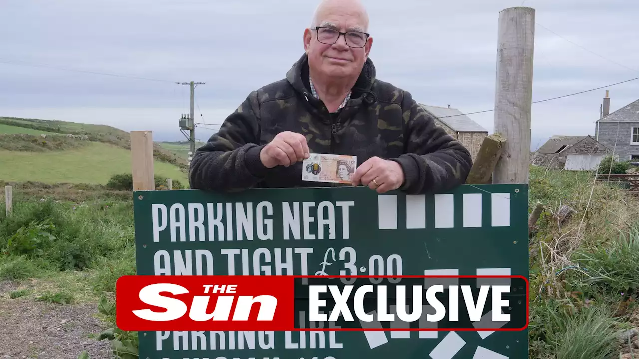 I charge extra £7 to park 'like a wally' - I'm amazed at how many drivers pay up