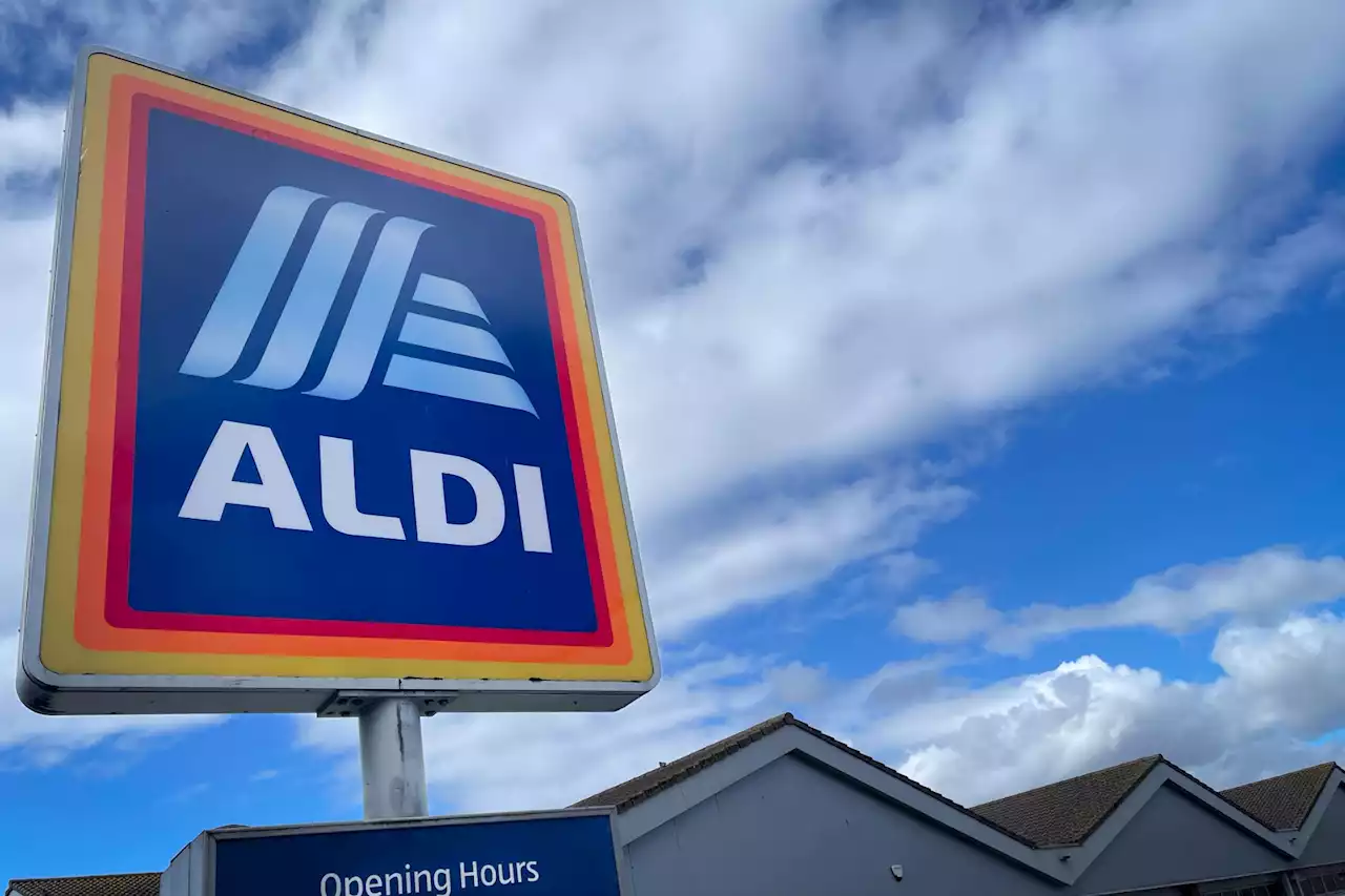 Shoppers are rushing to get their hands on bargain garden lights from Aldi