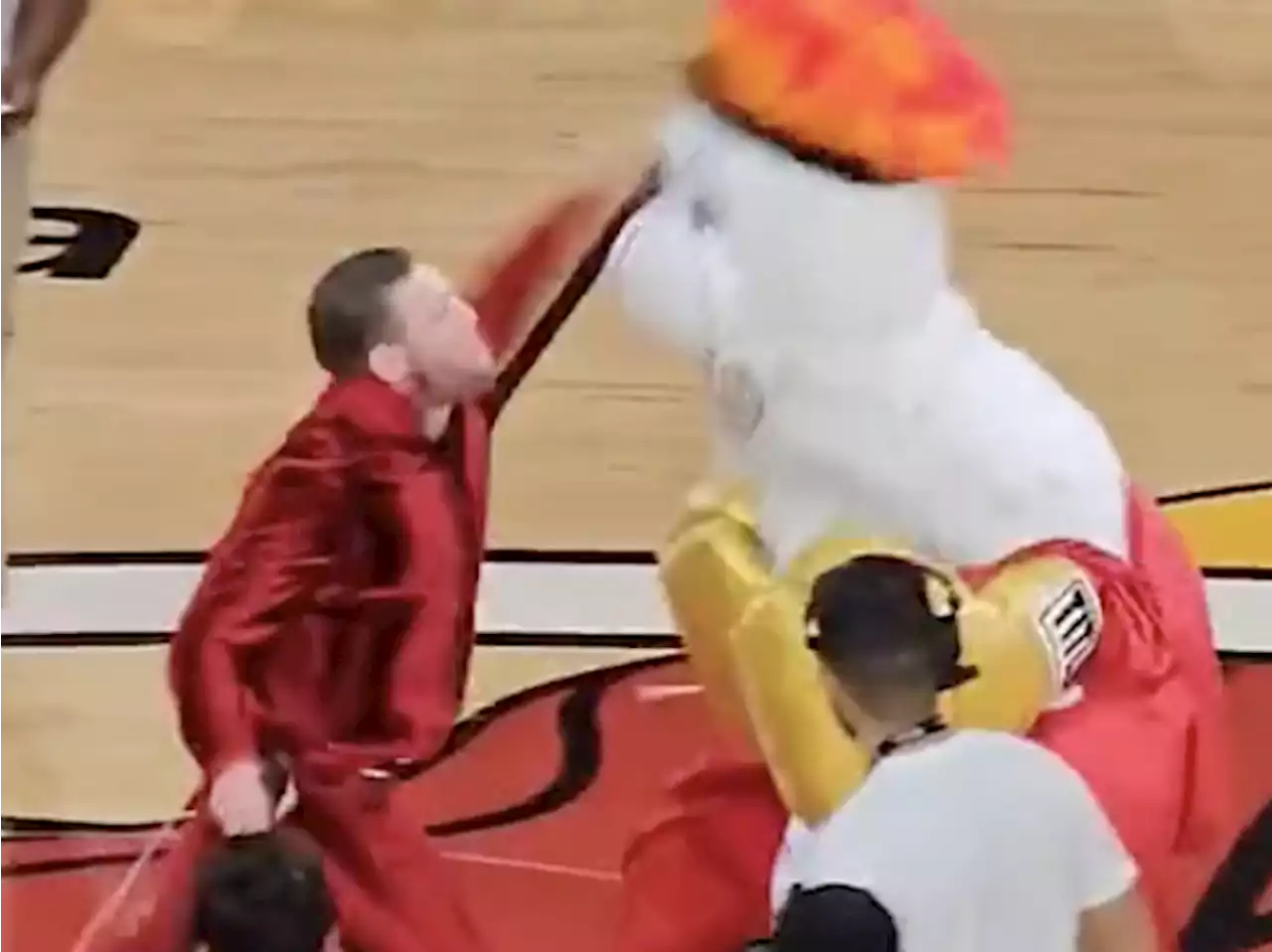 Conor McGregor knocks out and sends NBA mascot to hospital: Report