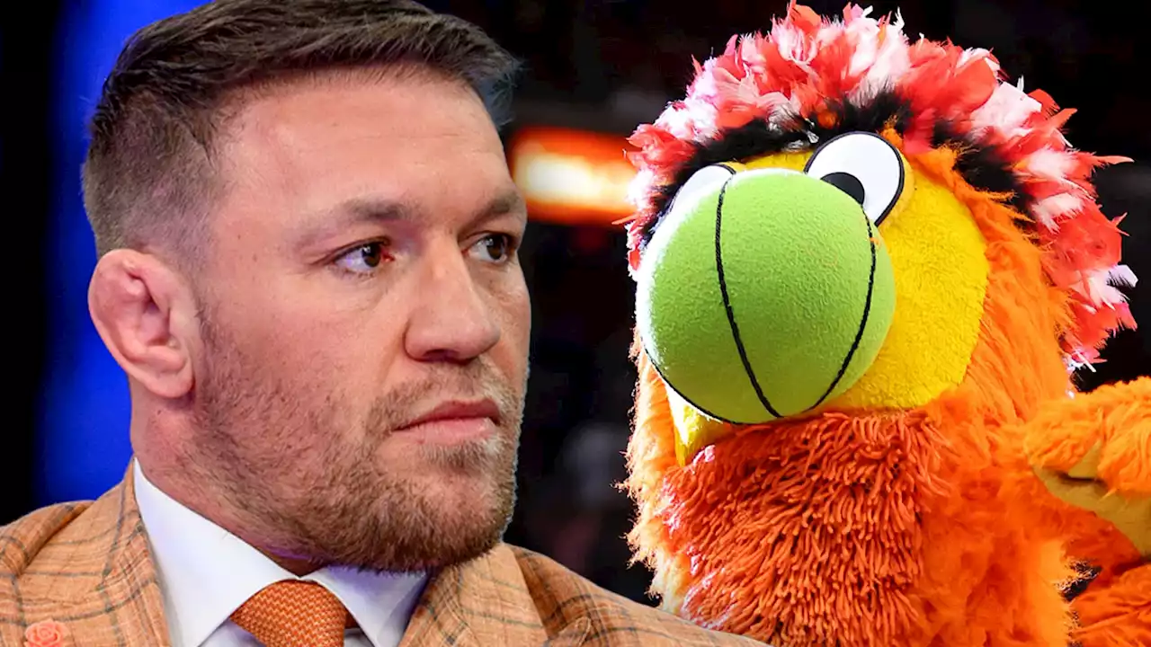 Conor McGregor's Punch to Heat Mascot Sent Person Inside to Hospital