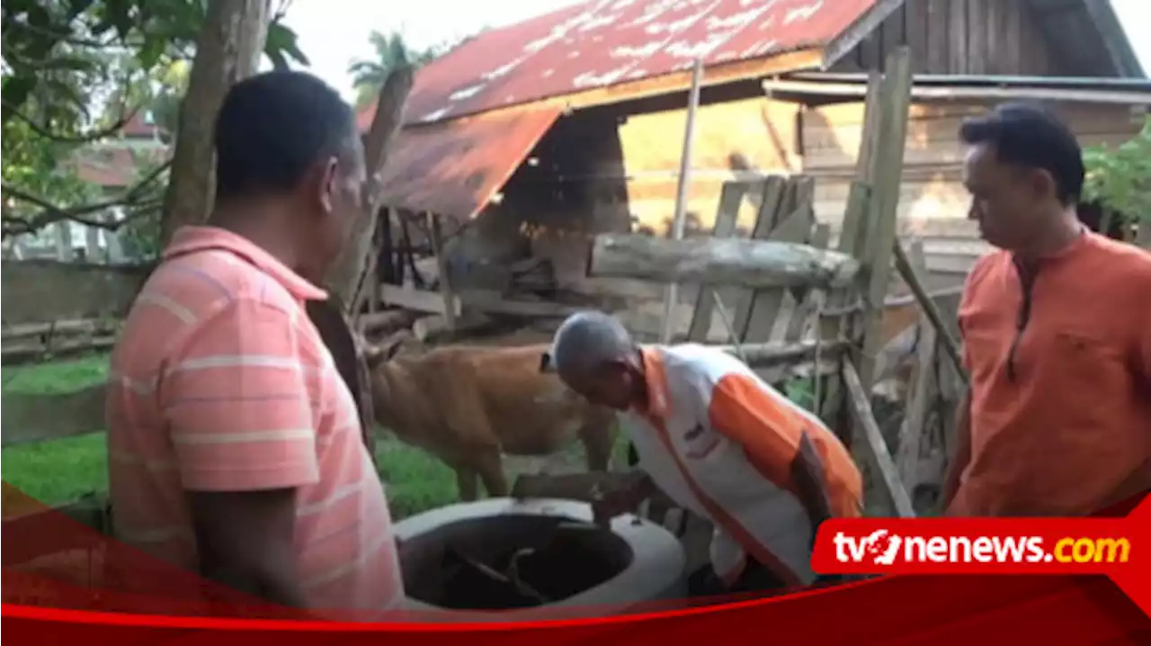 Sejumlah Peternak di Pali, Manfaatkan Kotoran Sapi Menjadi Biogas Pengganti Elpiji Untuk Memasak