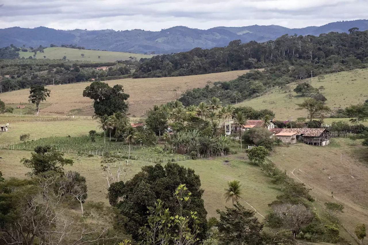 Centrão manobra doações da Codevasf para turbinar oposição de olho em 2024