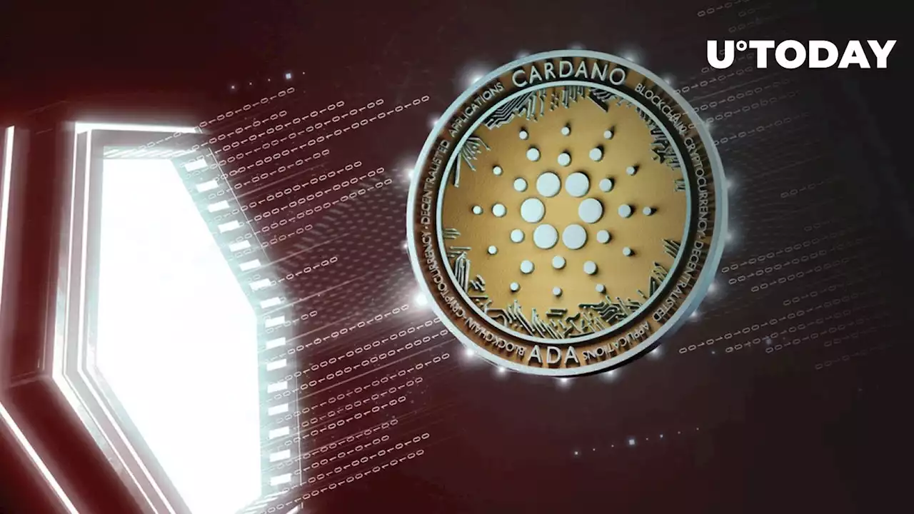 Cardano (ADA) Profitable for Only 5% of Investors, What's Next?