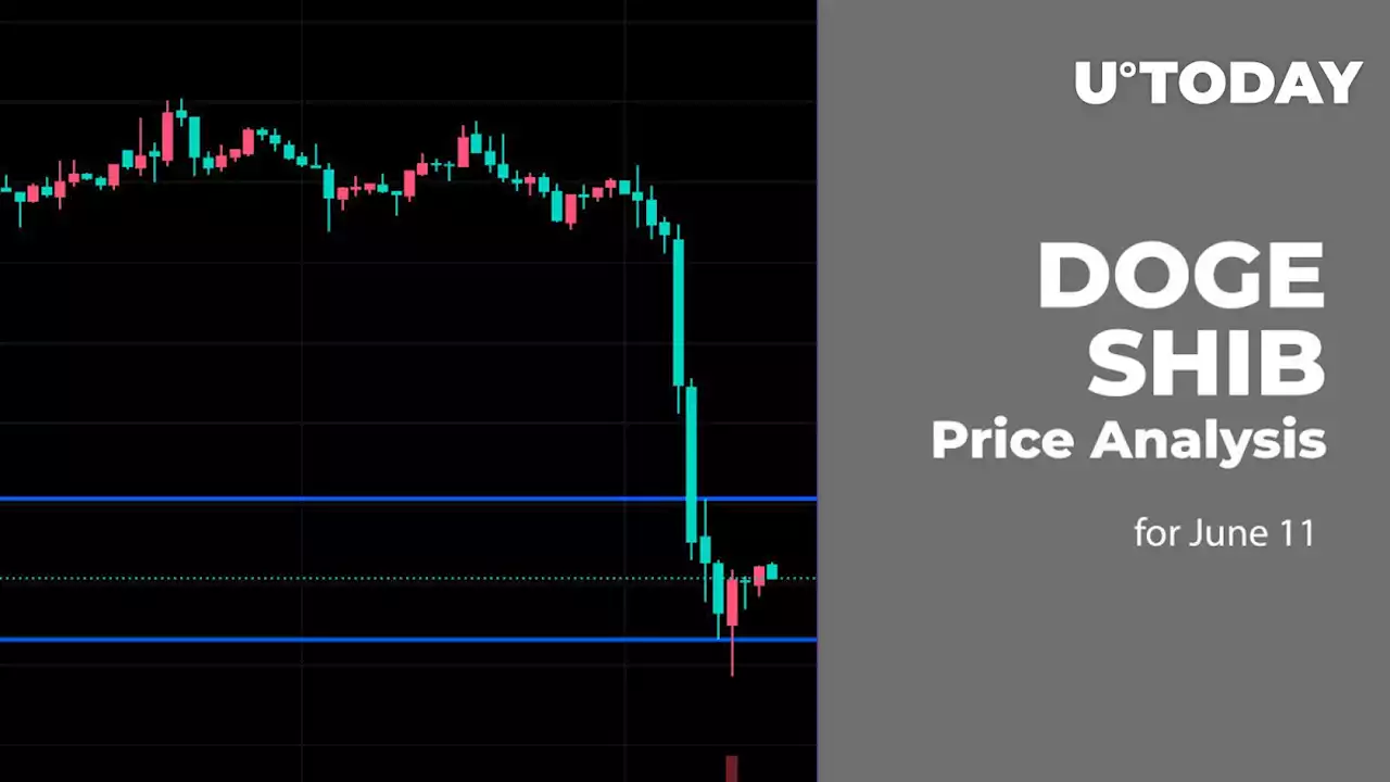 DOGE and SHIB Price Analysis for June 11