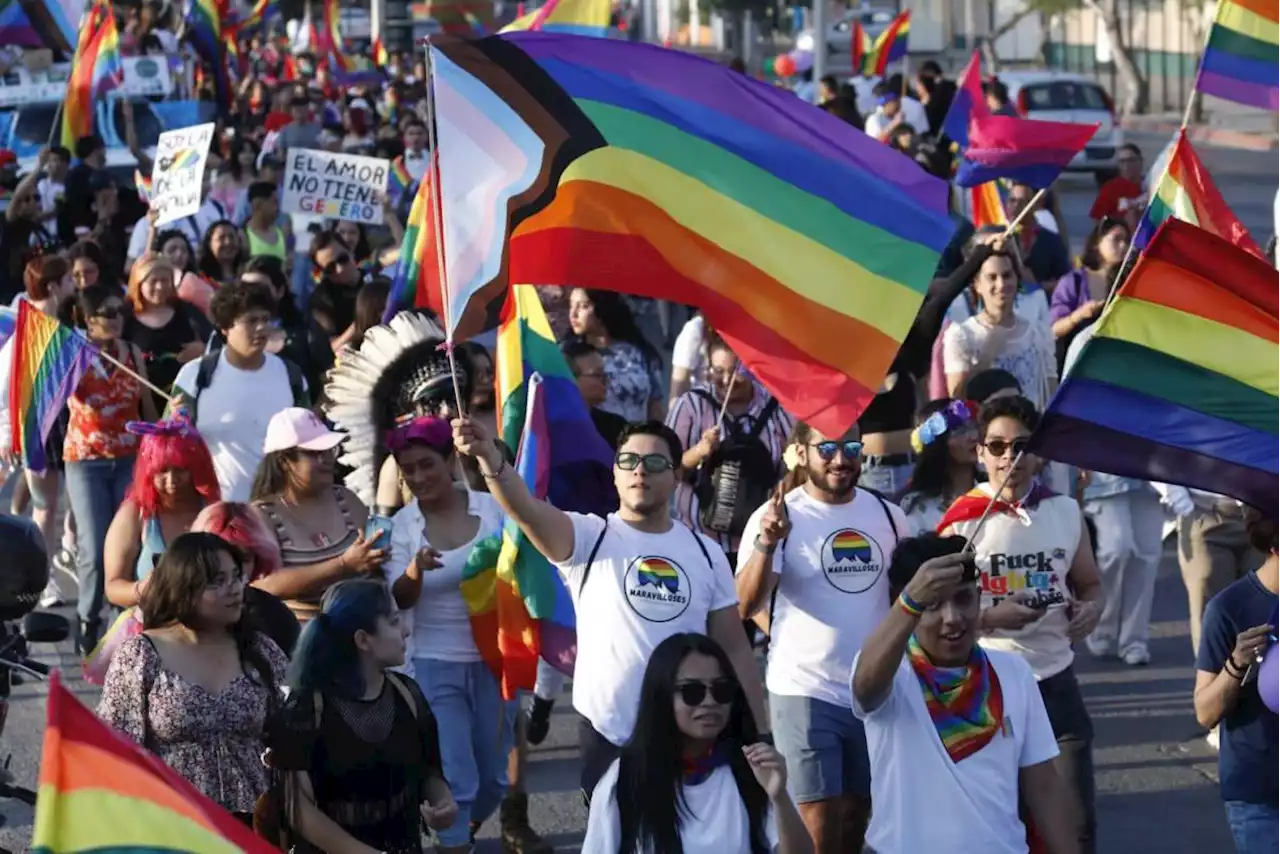 ¿Conoces las banderas que lucieron en la Marcha LGBTIQA+ en Saltillo?