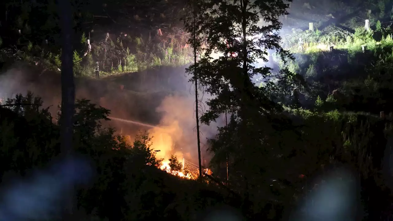 Polizei ermittelt zu Waldbränden in Bielefeld