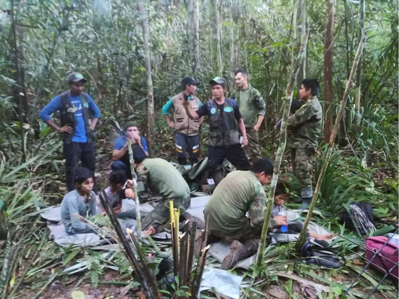 4 Indigenous children lost in jungle for 40 days after plane crash are found alive in Colombia