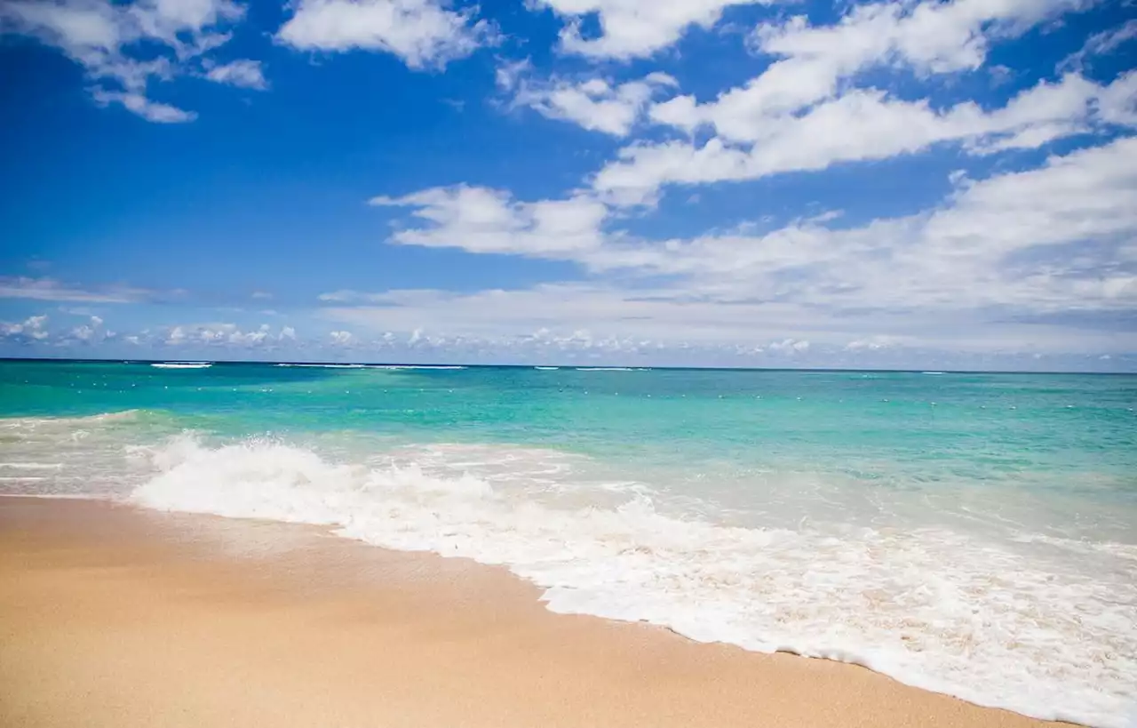 Le sexe explicitement interdit près des plages aux Pays-Bas