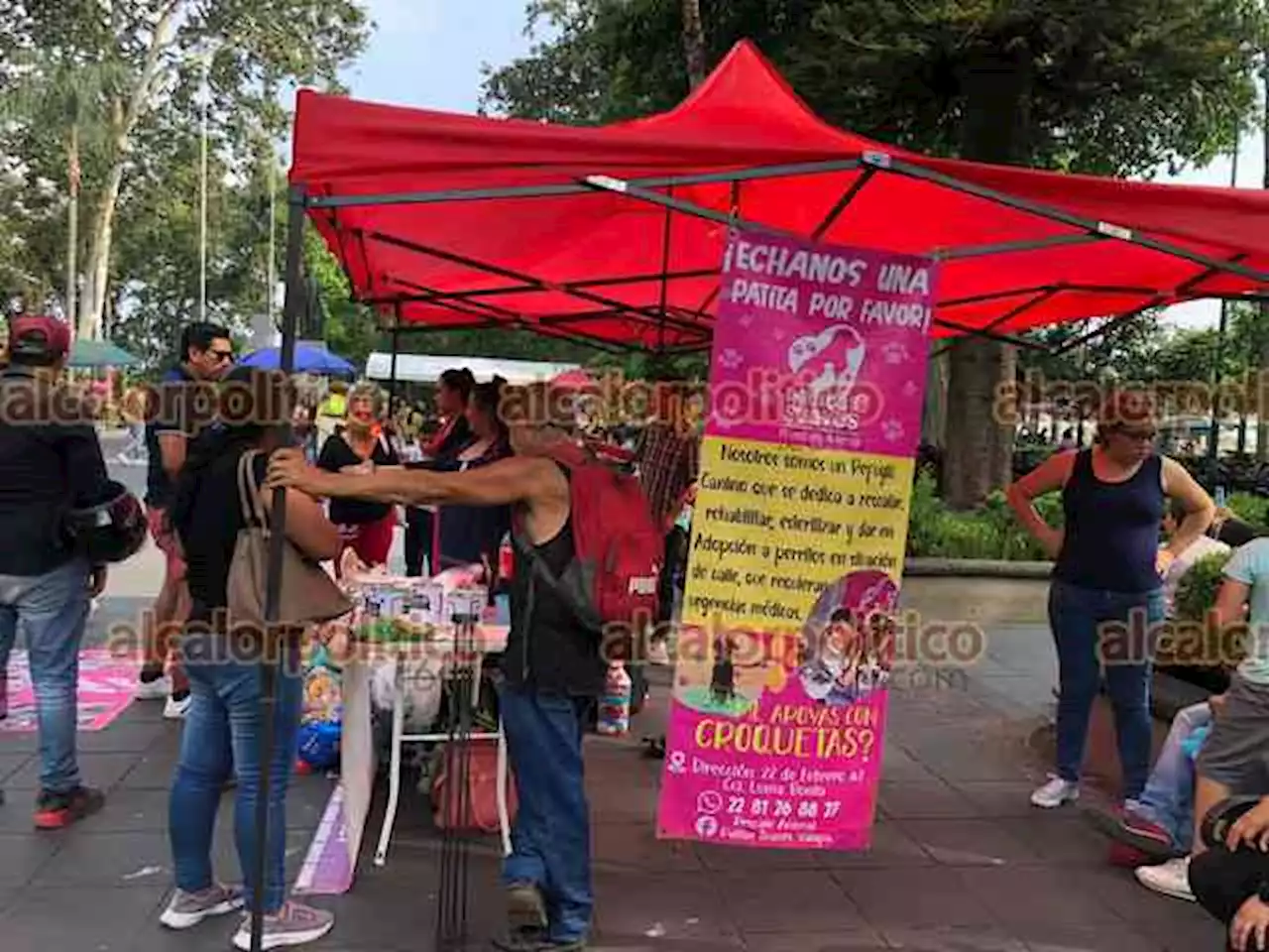 Ejecutaron a pasajero de taxi, en Córdoba