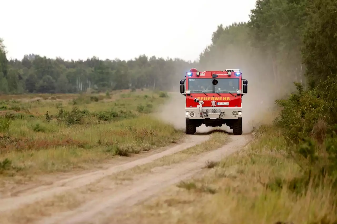 Brandstifter festgenommen: Mann zündet Gegenstände im Wald in Blankenfelde an