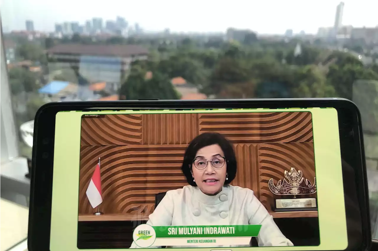 Kasus Rafael hingga Andhi Pramono, Sri Mulyani: Jadi Pelajaran dan Kami Perbaiki