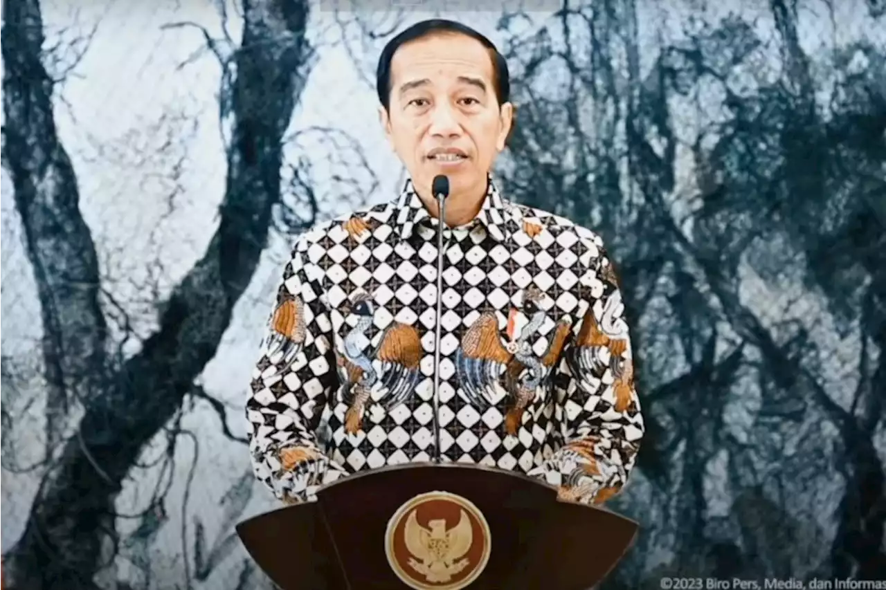 Presiden Jokowi Minta Aturan Golden Visa Rampung Juni 2023