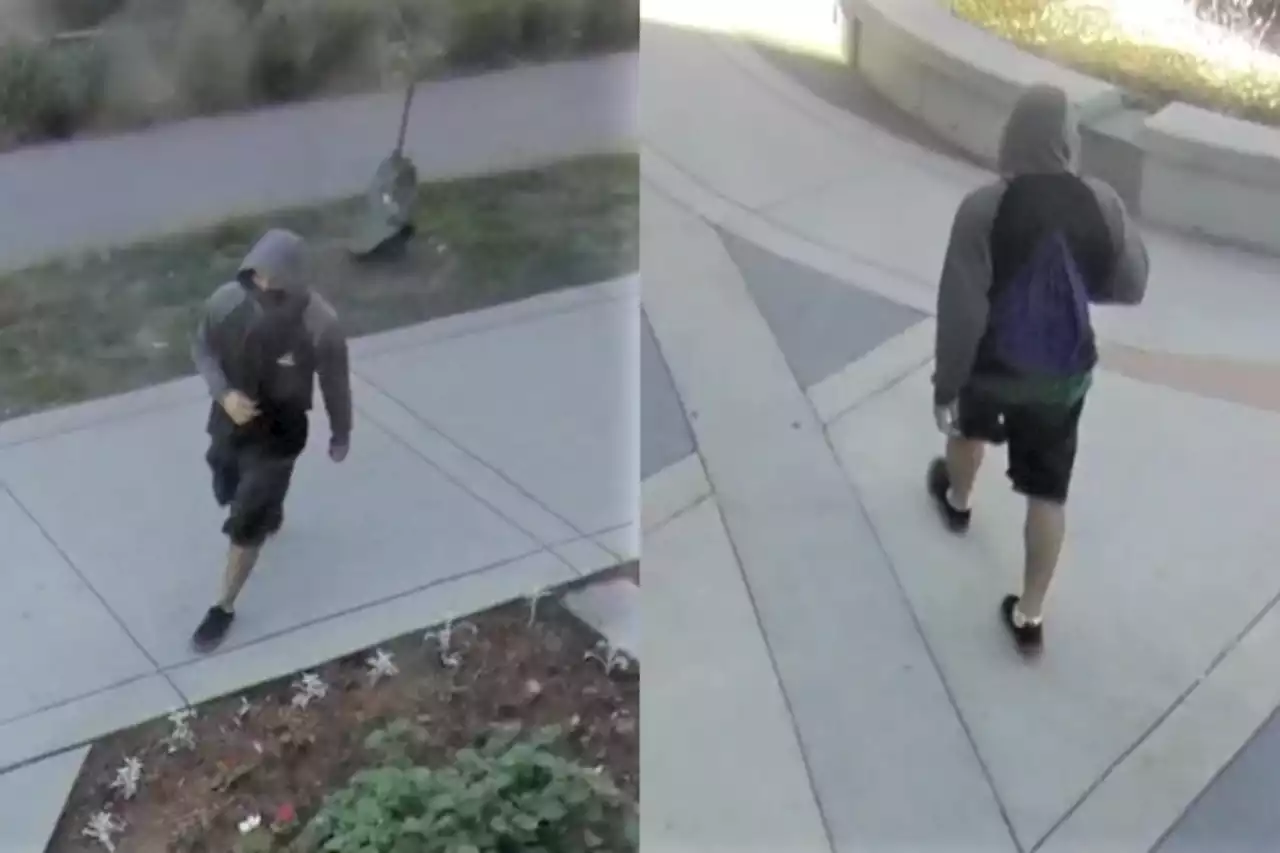 'Motive is unknown': Arson suspect sought by Metro Vancouver police