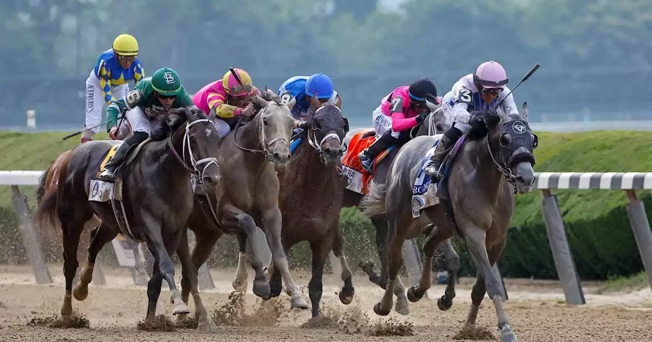 2 horses die less than 24 hours apart at Belmont Park